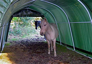 Portable Horse Shelter Kits